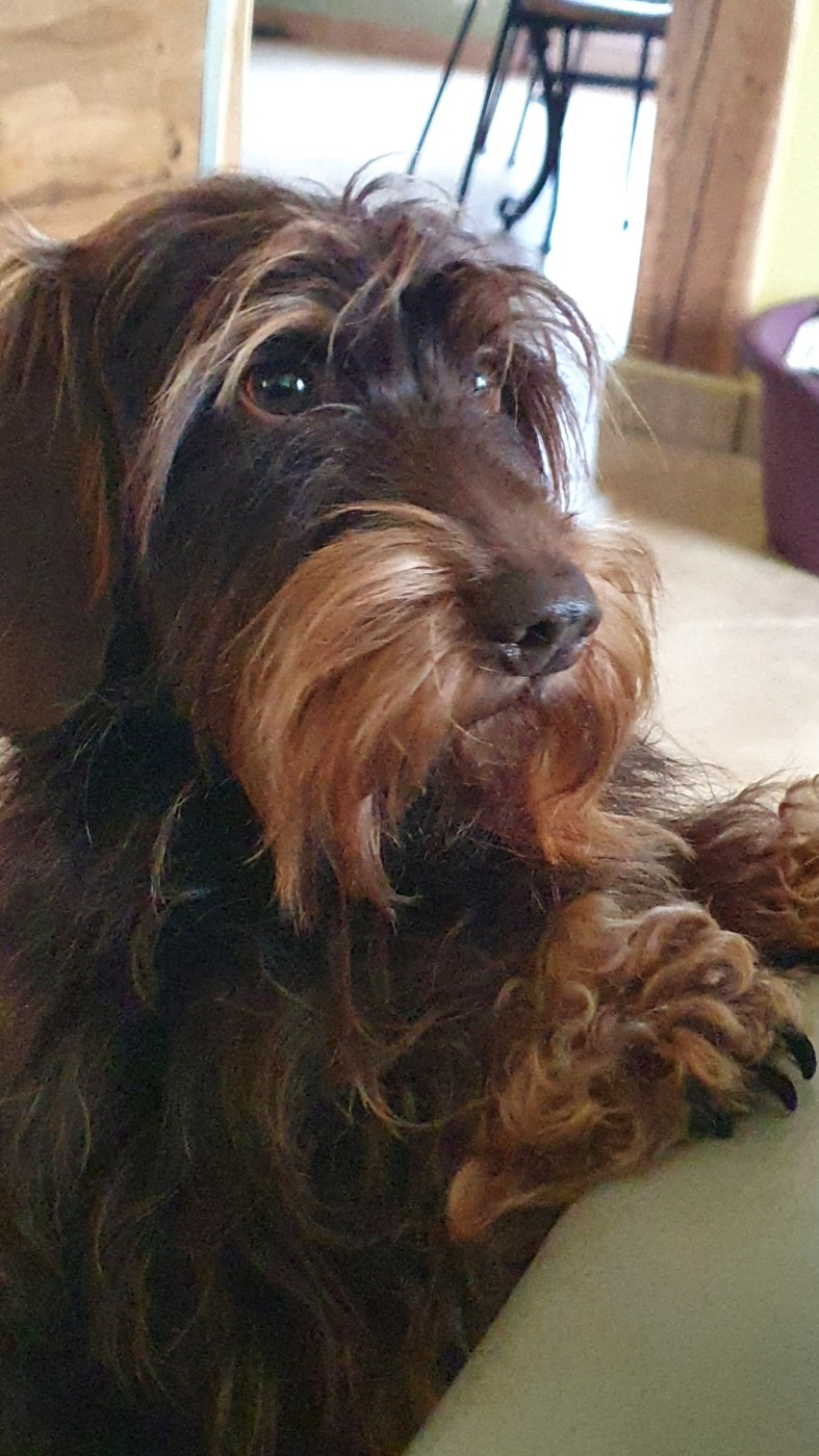 Tolkien du moulin de Thuet